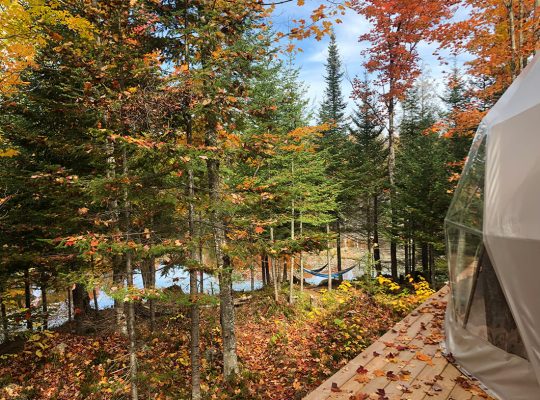 Au-delà du boulot l'automne