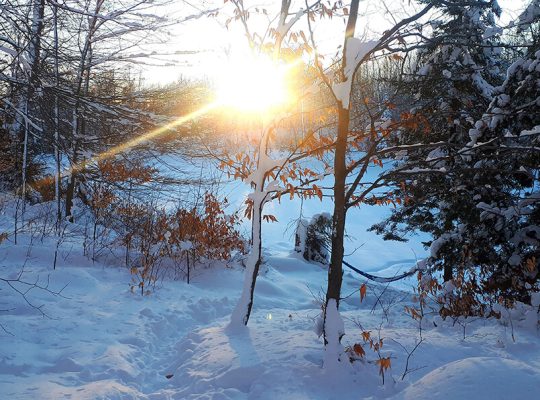 Au-delà du boulot l'hiver